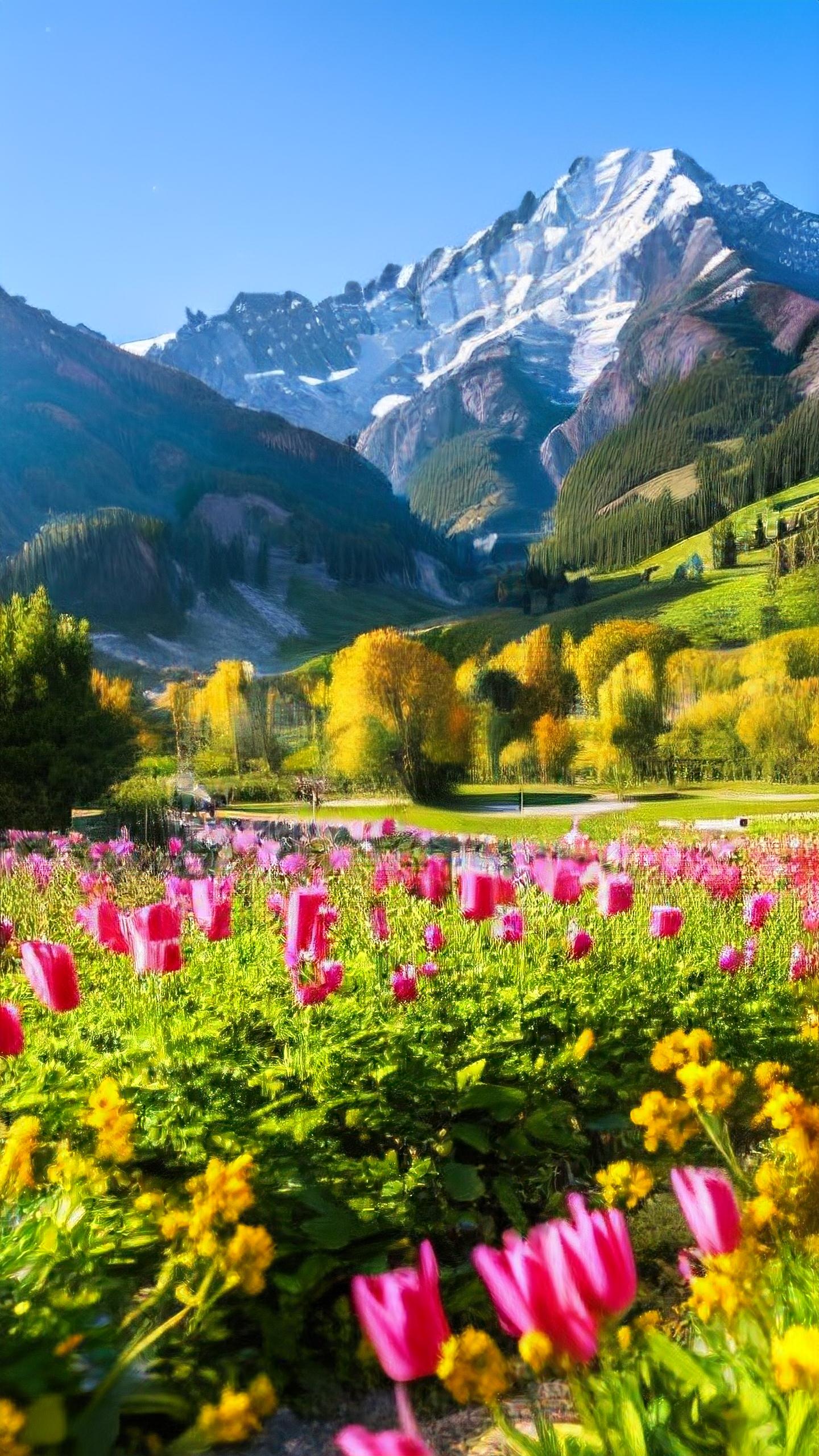 微信